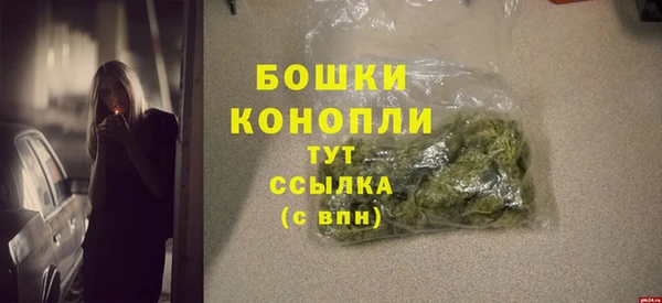 мдпв Гусев