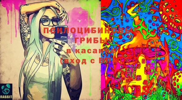 трава Гусь-Хрустальный