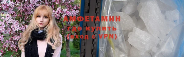 мдпв Гусев