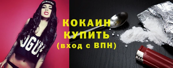 мдпв Гусев