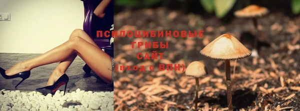 мдпв Гусиноозёрск