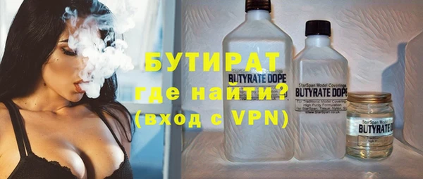 мдпв Гусев