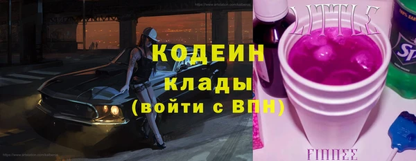 индика Горнозаводск