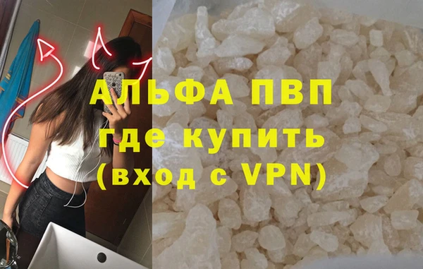 индика Горнозаводск