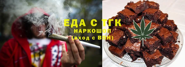 мдпв Гусев