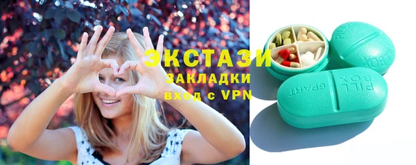 мдпв Гусев