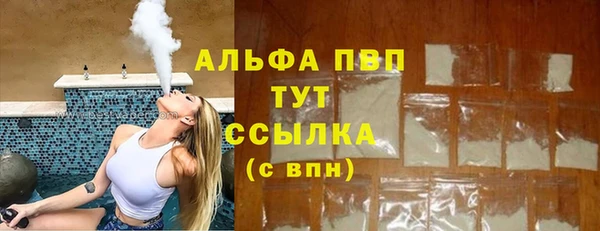 мдпв Гусев