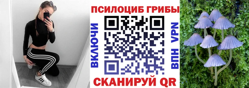 наркотики  Оха  Галлюциногенные грибы ЛСД 